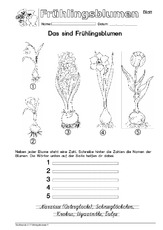 Arbeitsblatt S95 1.pdf